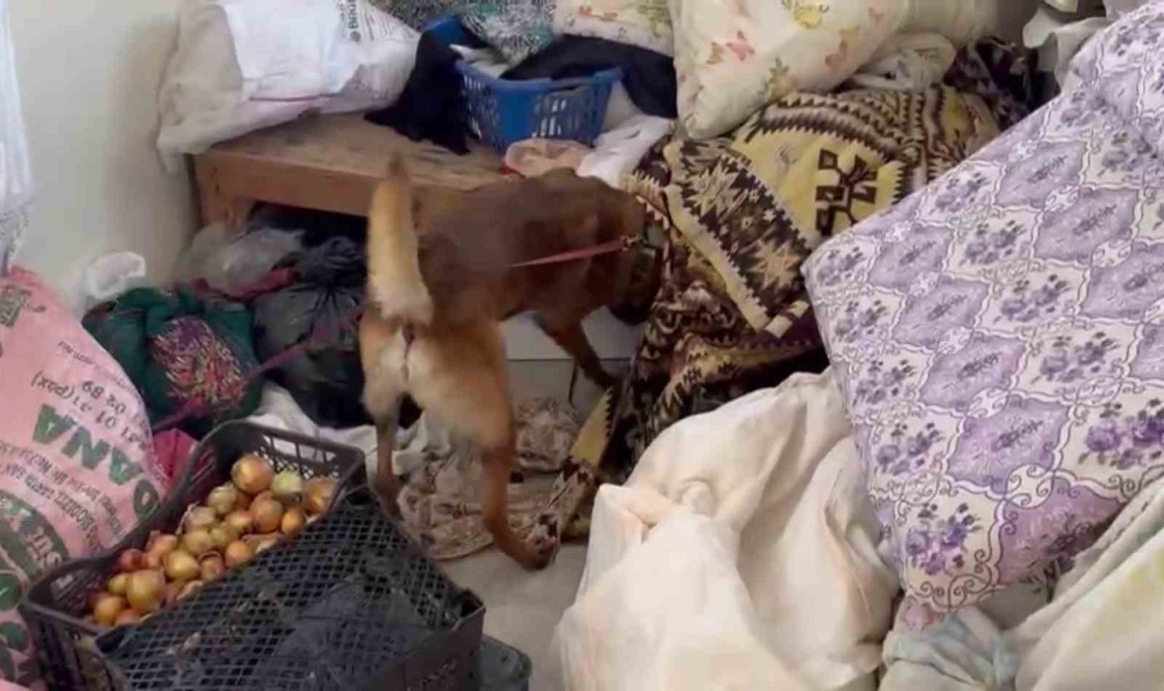 7 kilo esrar yakalatan şüpheli: ”İçimlik alacaktık, uygun verince toplu aldık”