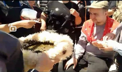 Ayvalık’ta teknede asker eğlencesine engel yok!