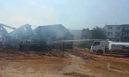 Bursa’daki yangınlar boyut atlıyor
