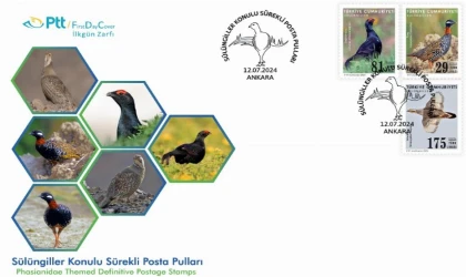 Sülüngiller’e özel zarf